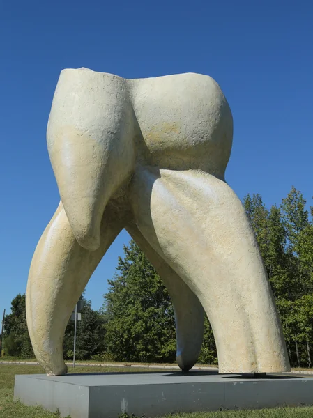 アーティストにハミルトン、ニュージャージー州スワード ジョンソンによって歯の彫刻 — ストック写真