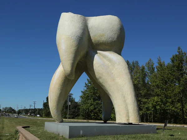 アーティストにハミルトン、ニュージャージー州スワード ジョンソンによって歯の彫刻 — ストック写真