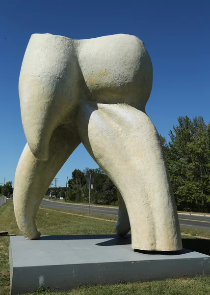 Зуб скульптури художника Сьюард Джонсон в Гамільтон, Нью-Джерсі — стокове фото