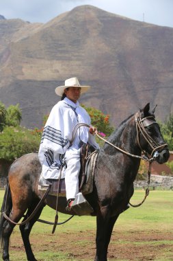 Perulu Gaucho Urubamba, kutsal vadi, Peru Paso atlı