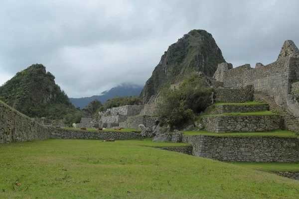 Ruinas de Machu Picchu en Perú. Patrimonio Mundial de la UNESCO desde 1983 — Foto de Stock