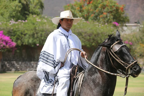 Peruwiański Gaucho na koniu Paso w Urubamba, Sacred Valley, Peru — Zdjęcie stockowe