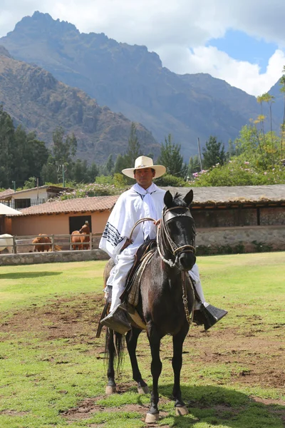Peruanischer Gaucho auf Pasopferd in Urubamba, heiliges Tal, Peru — Stockfoto