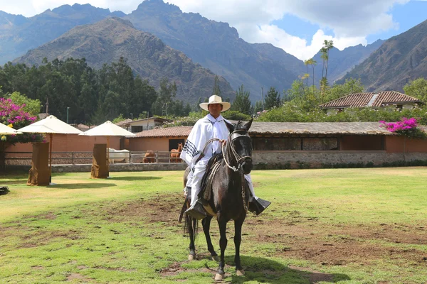 Peruanska Gaucho på Paso häst i Urubamba, Sacred Valley, Peru — Stockfoto