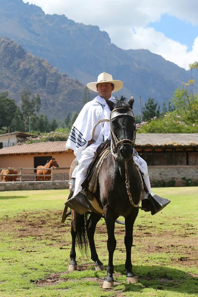 Gaucho Peru pada Kuda Paso di Urubamba, Lembah Suci, Peru — Stok Foto