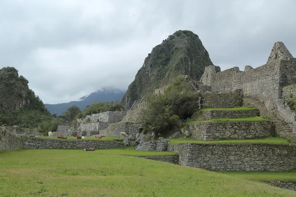 Ruinas de Machu Picchu en Perú. Patrimonio Mundial de la UNESCO desde 1983 — Foto de Stock