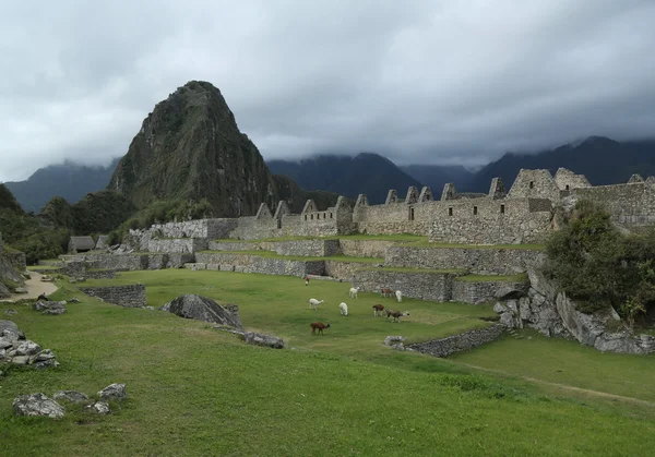 Ruinas de Machu Picchu en Perú. Patrimonio Mundial de la UNESCO desde 1983 — Foto de Stock