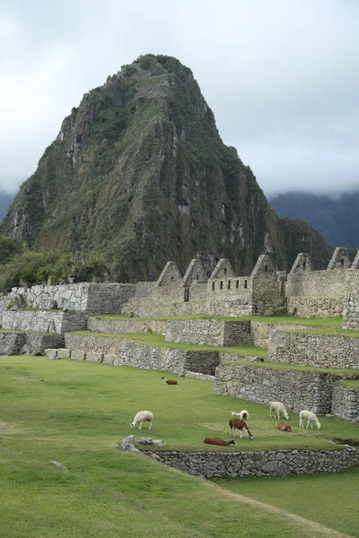 Ruinas de Machu Picchu en Perú. Patrimonio Mundial de la UNESCO desde 1983 — Foto de Stock