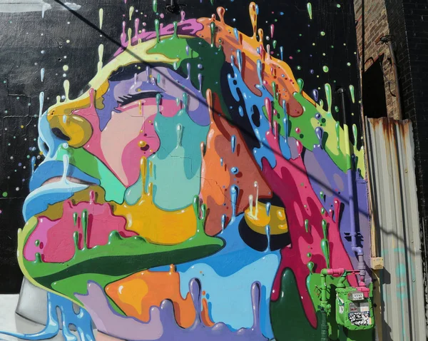 ブルックリンの東ウィリアムズバーグで壁の芸術 — ストック写真