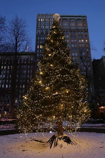 Árvore de Natal no Madison Square Park ao entardecer — Fotografia de Stock