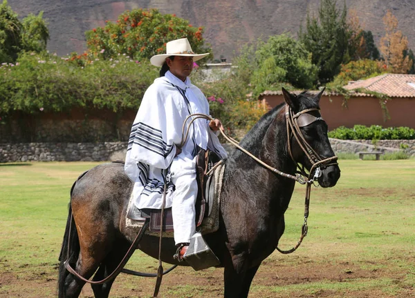 Peruwiański Gaucho na koniu Paso w Urubamba, Sacred Valley, Peru — Zdjęcie stockowe