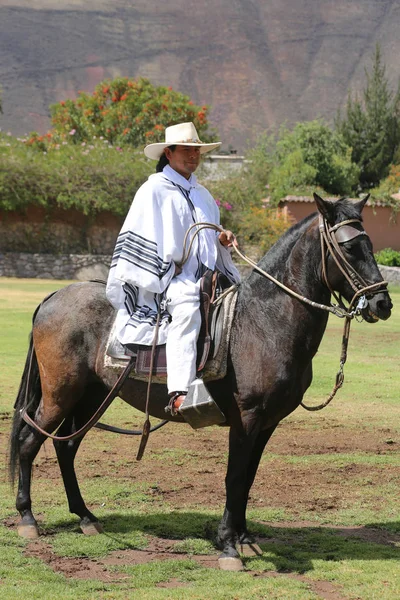 Peruwiański Gaucho na koniu Paso w Urubamba, Sacred Valley, Peru — Zdjęcie stockowe