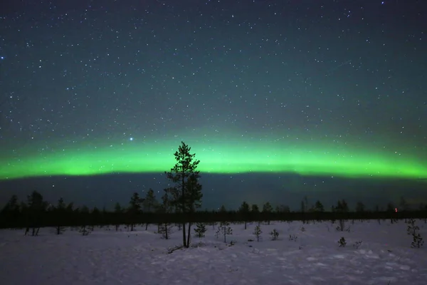 Luzes do norte espetaculares na Lapônia Finlandesa — Fotografia de Stock