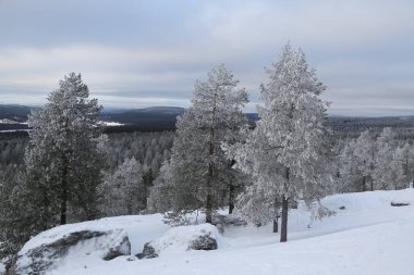 Güzel kış manzarası Fin Lapland içinde