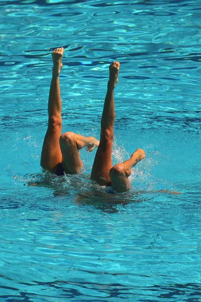 Duo de natation synchronisé en compétition — Photo