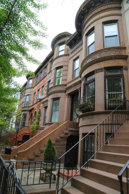 Tarihi Prospect Heights mahalle, New York City brownstones