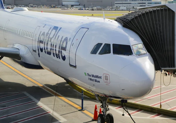 JetBlue vliegtuig op asfalt op John F Kennedy International Airport in New York — Stockfoto