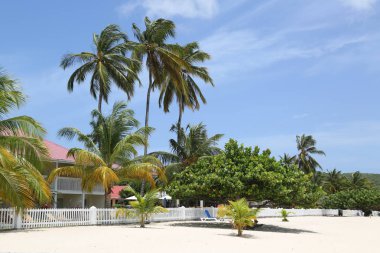 Grenada 'daki Grand Anse Sahili' nde güneşli bir gün..