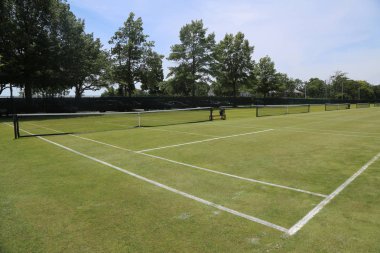 Çim tenis kortları