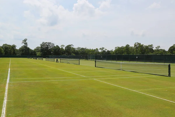 Terrains de tennis en herbe — Photo