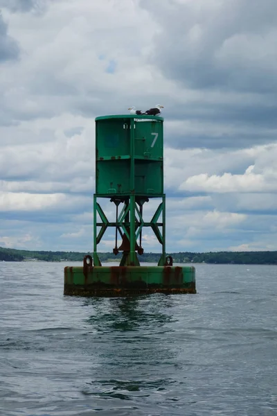 Uma rede de gaivotas na bóia de navegação em Bar Harbor, Maine . — Fotografia de Stock