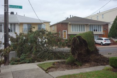  Kasırga Sandy Brooklyn, New York sonrasında hasar düşmüş ağaç evde