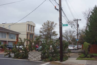  Kasırga Sandy Brooklyn, New York sonrasında hasar düşmüş ağaç evde