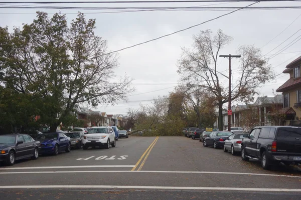 Padlý strom poškozen dům v důsledku hurikánu Sandy v Brooklynu, New York — Stock fotografie