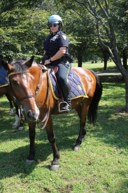 New York Polis Teşkilatı birim polis memuru Flushing Meadows Park New York'ta genel korumaya hazır monte