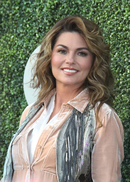 Canadian country singer and songwriter Shania Twain on the blue carpet before US Open 2017 opening night ceremony — Stock Photo, Image