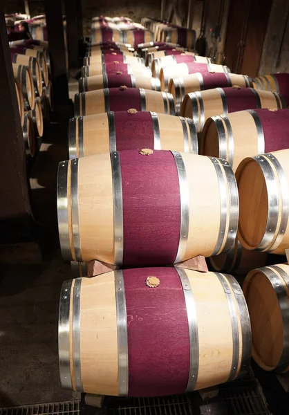 Oak barrels in cellar — Stock Photo, Image