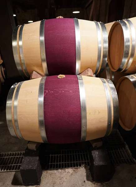 Oak barrels in cellar — Stock Photo, Image