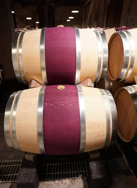 Oak barrels in cellar — Stock Photo, Image