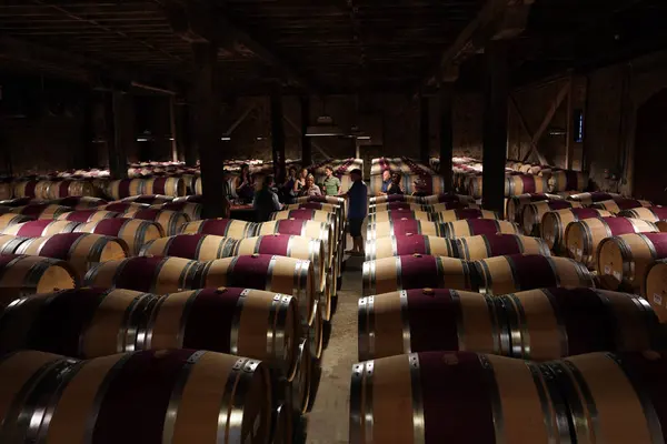 Wijnliefhebbers in The Hess collectie Winery kelder tijdens de wijnproeverij tour in Napa, Californië — Stockfoto
