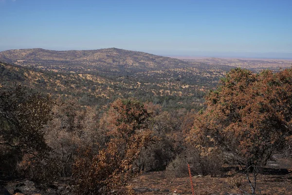 yanmış ve orman yangını tarafından harap Kaliforniya'da hillside kuru yanmış