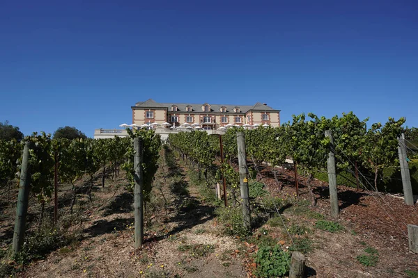 Domaine Carneros Winery in Napa Valley — Stock Photo, Image