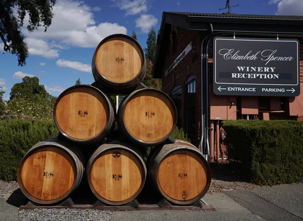 Elizabeth Spencer şarap Napa Valley. — Stok fotoğraf