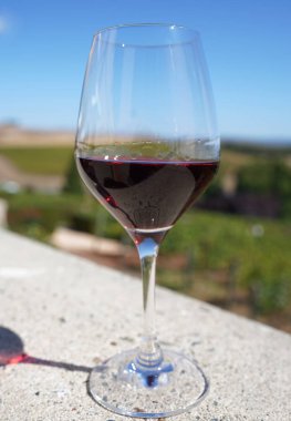 Bir kadeh kırmızı şarap.