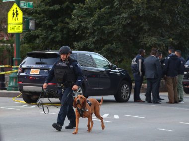 New York polisi acil servis birimi polis memuru olay yerinde Aşağı Manhattan New York'ta bir terör saldırısı sitedeki yakınındaki K-9 köpekle.