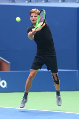Profesyonel tenis oyuncusu David Goffin Belçika uygulamaları bize açık 2017 