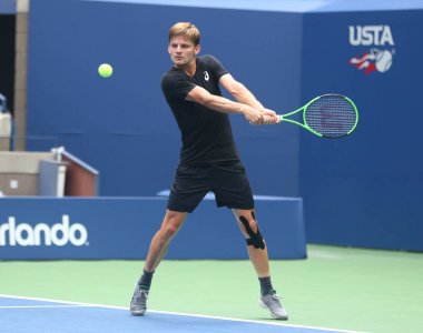 Profesyonel tenis oyuncusu David Goffin Belçika uygulamaları bize açık 2017 