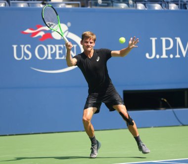 Profesyonel tenis oyuncusu David Goffin Belçika uygulamaları bize açık 2017 