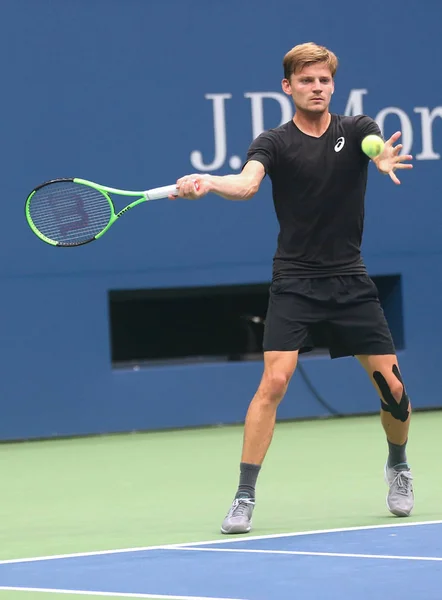 职业网球选手大卫 Goffin 比利时实践为我们打开2017 — 图库照片