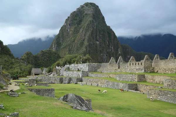 Ruinas Machu Picchu Perú Patrimonio Mundial Unesco Desde 1983 — Foto de Stock