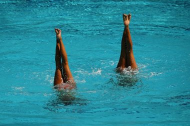 Senkronize yüzme düet Yarışması sırasında