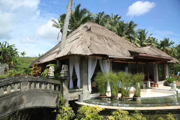 Bali, Endonezya - 5 Şubat 2016: 5 yıldızlı Viceroy Bali Hotel Ubud, Bali, Endonezya. Otel özel yüzme havuzları ve Petanu Nehri manzaralı lüks Villa featuring Ubud, Dağlık yer alır