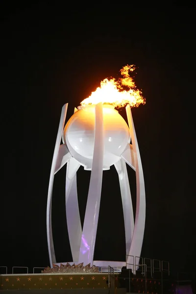 Pyeongchang Corea Del Sur Febrero 2018 Llama Olímpica Arde Estadio —  Fotos de Stock