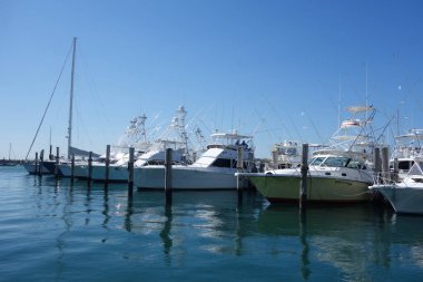 West Palm Beach, Florida - 21 Mart 2018: Yelkenli ve Florida Sailfish Marina'da Yatlar. Favori bir Palm plajlarından birinde yerleştirme Sailfish Marina Resort olduğunu