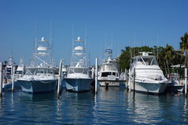 West Palm Beach, Florida - 21 Mart 2018: Yelkenli ve Florida Sailfish Marina'da Yatlar. Favori bir Palm plajlarından birinde yerleştirme Sailfish Marina Resort olduğunu