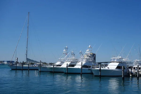 West Palm Beach Florida Mars 2018 Segelbåtar Och Yachter Sailfish — Stockfoto